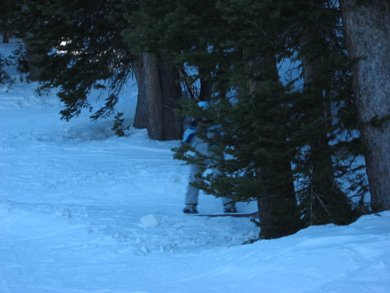 Lindsay Playing in the trees